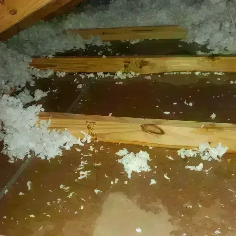 Attic Water Damage in Como, MS