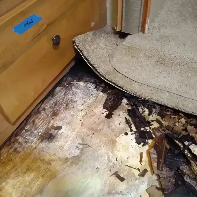 Wood Floor Water Damage in Como, MS